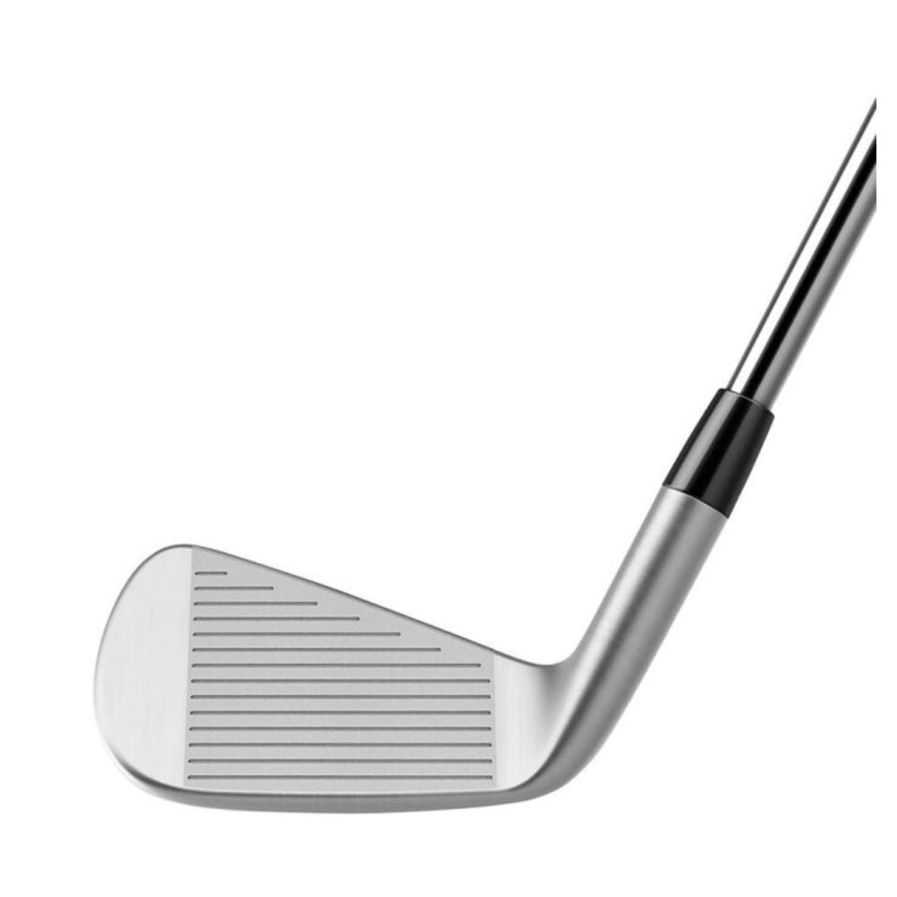 TaylorMade P790 2023 (4-P) Steel Irons