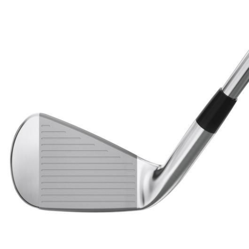 Mizuno Pro 245 (4-P) Steel Irons